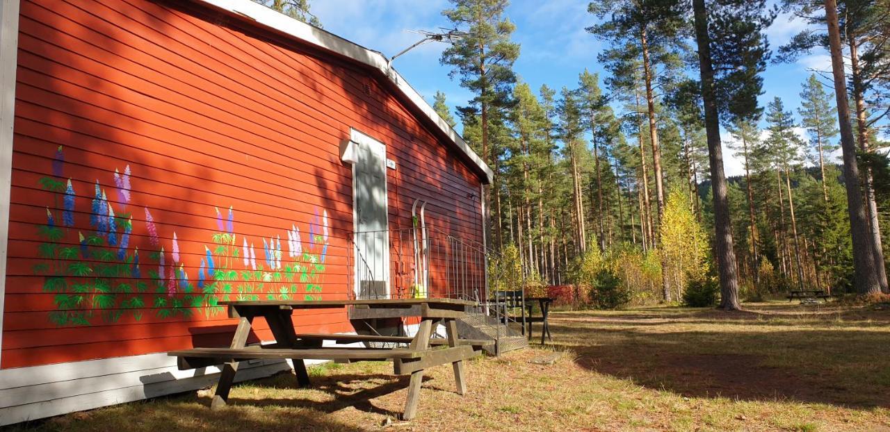 Hostel And Vandrarhem Lupin Naturcamping Lagom Grasmark Luaran gambar