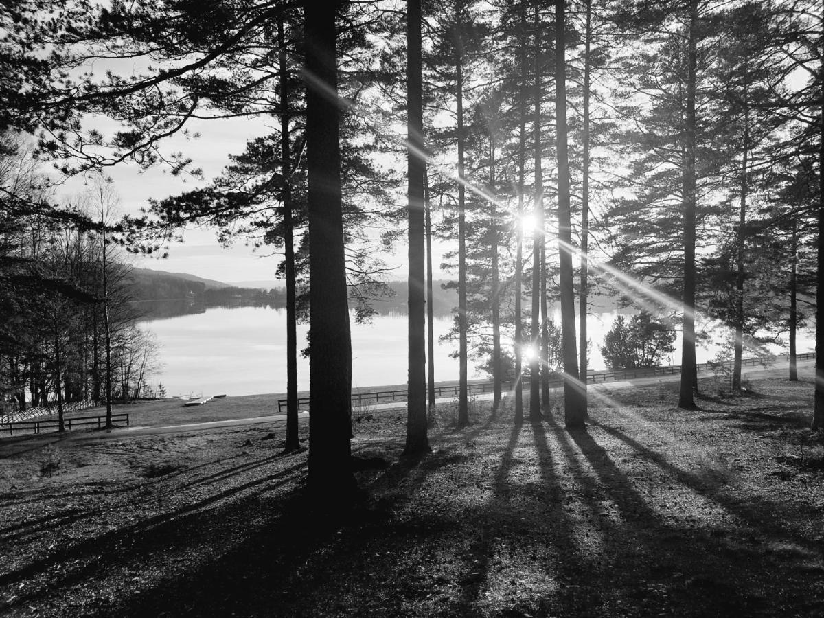 Hostel And Vandrarhem Lupin Naturcamping Lagom Grasmark Luaran gambar