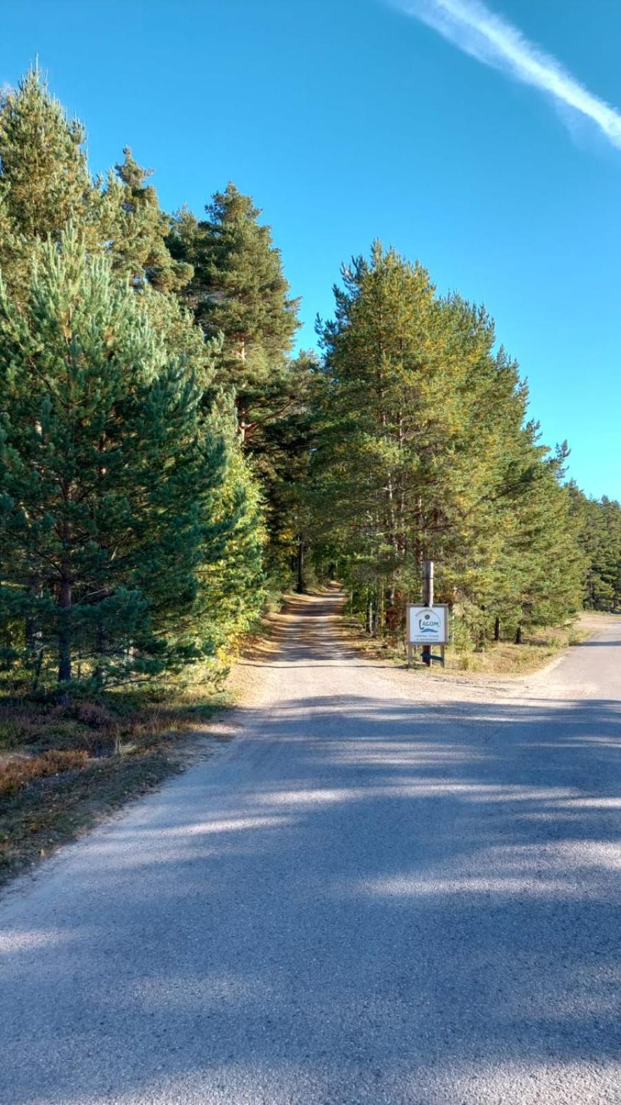 Hostel And Vandrarhem Lupin Naturcamping Lagom Grasmark Luaran gambar